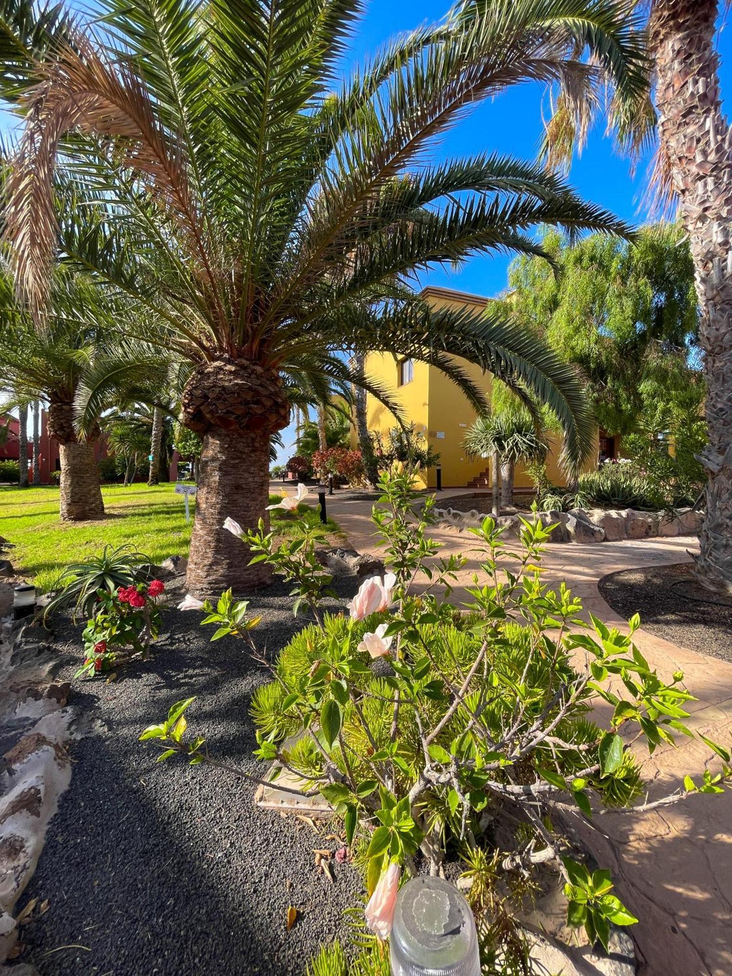 Karol Home By Best Holidays Fuerteventura 科拉雷侯 外观 照片